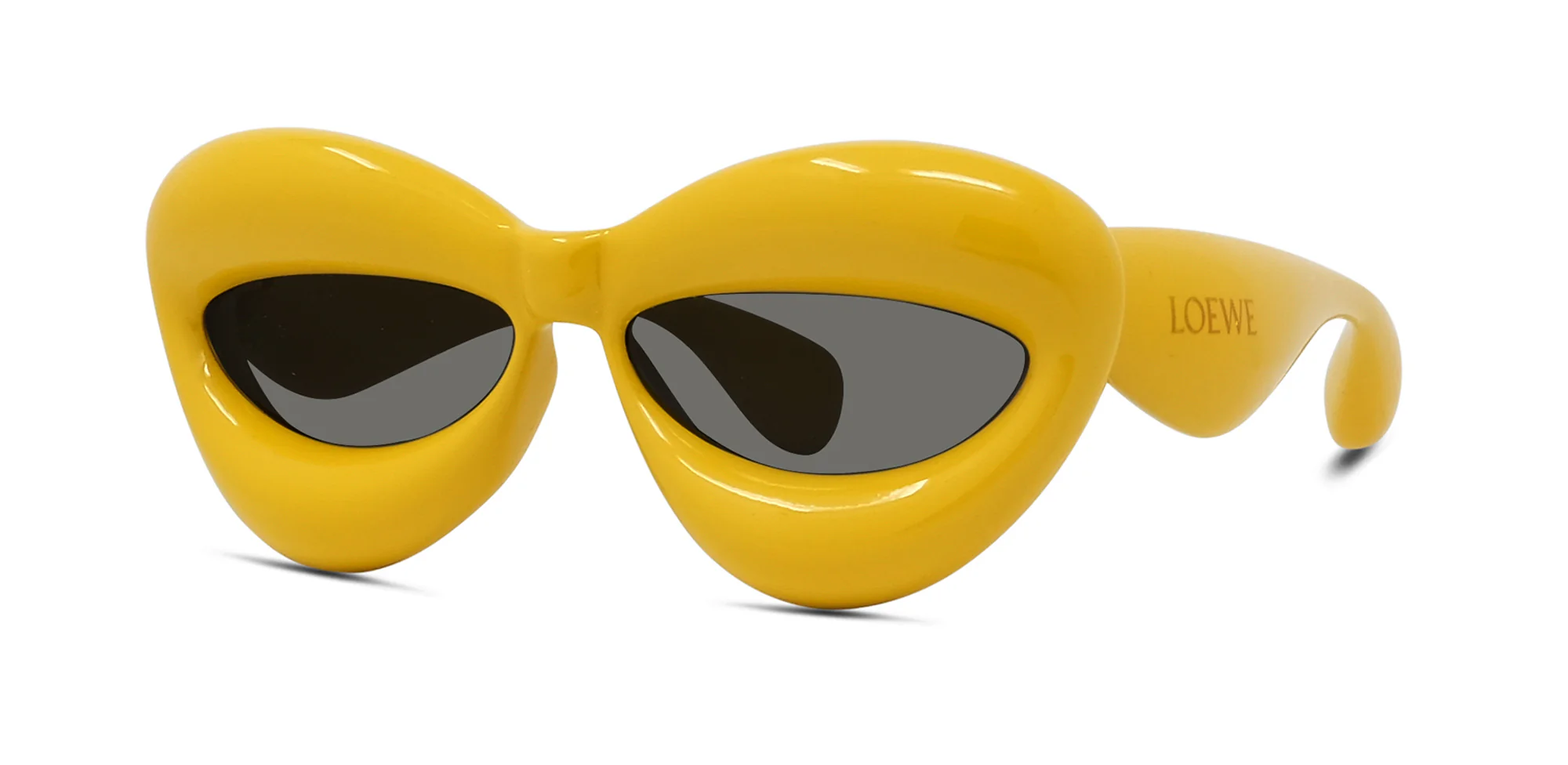 Loewe Fashion Show Inflated LW40097I - Image 20