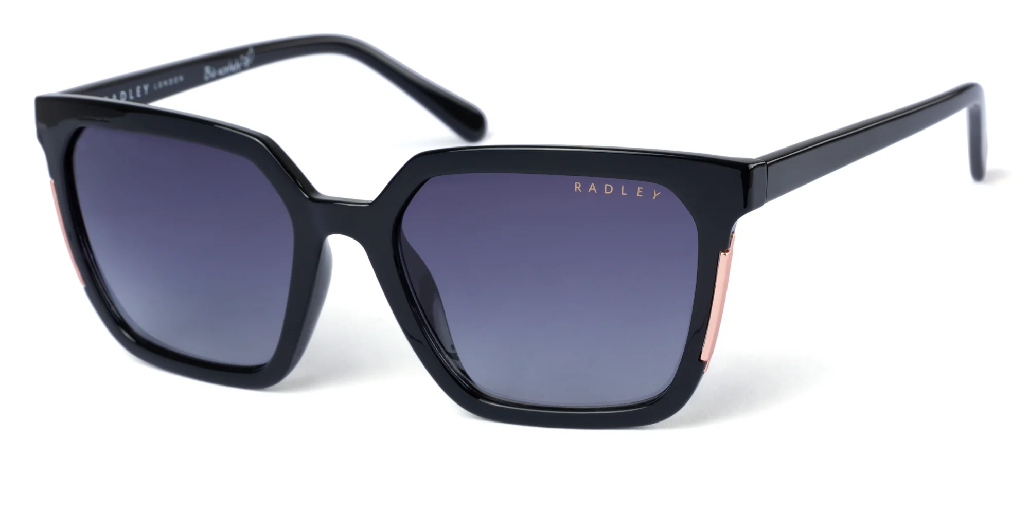 Radley RDS-6506