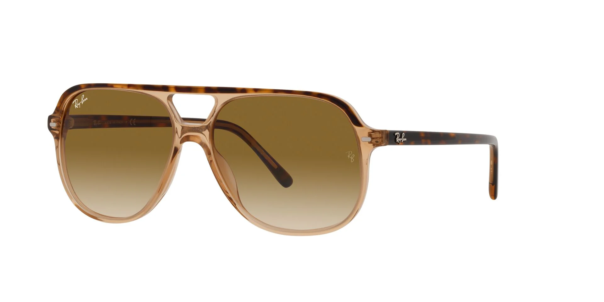 Ray-Ban Bill RB2198