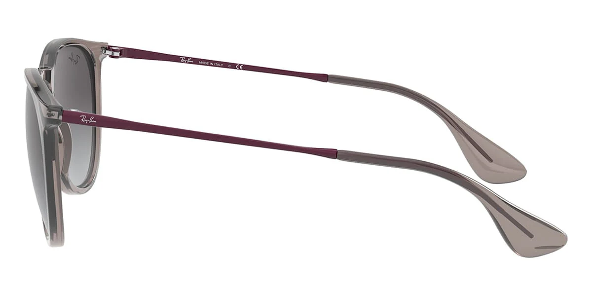 Ray-Ban Erika RB4171 - Image 61
