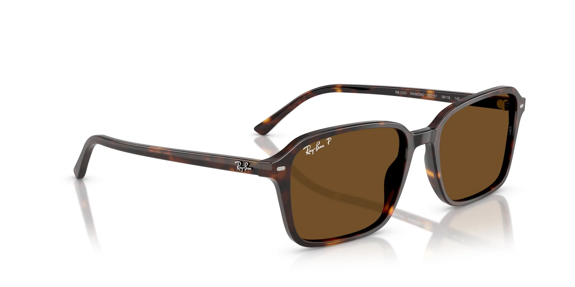 Ray-Ban Raimond RB2231 - Image 19
