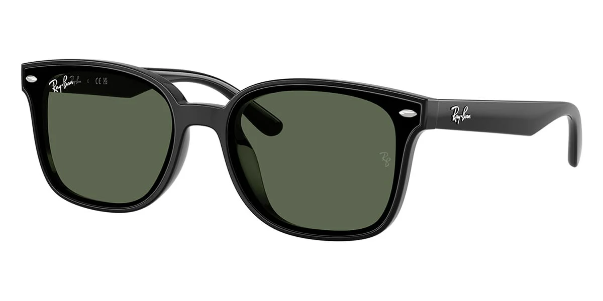 Ray-Ban RB4461D