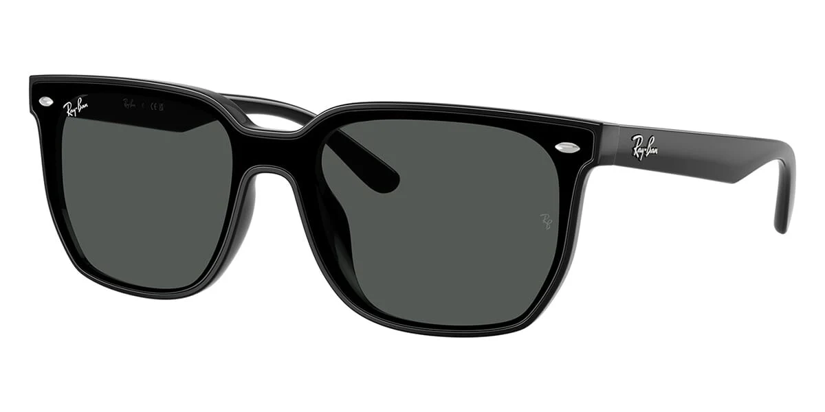 Ray-Ban RB4466D