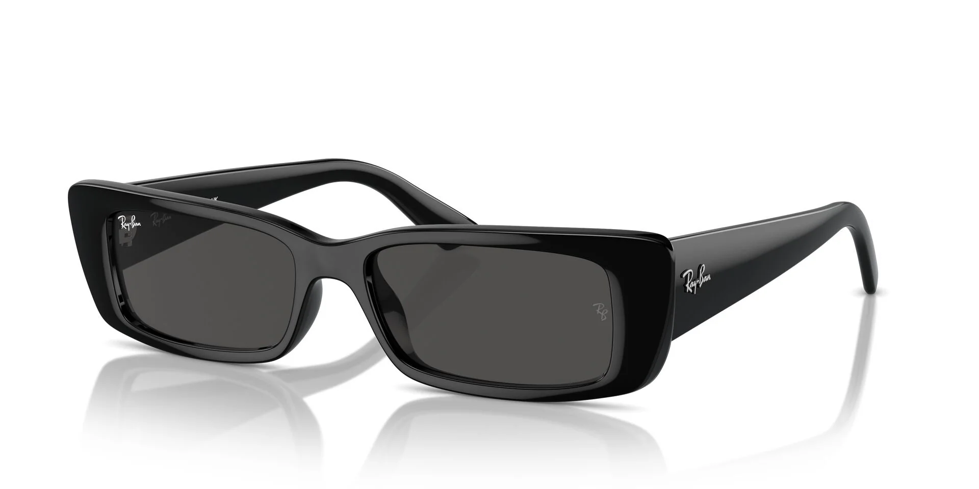 Ray-Ban Teru RB4425
