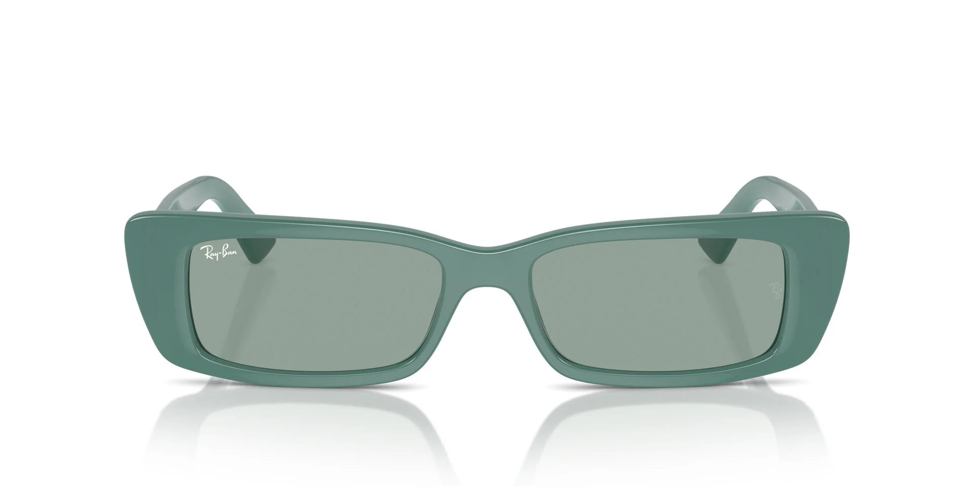 Ray-Ban Teru RB4425 - Image 20